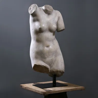 Sculpture de buste de Vénus
